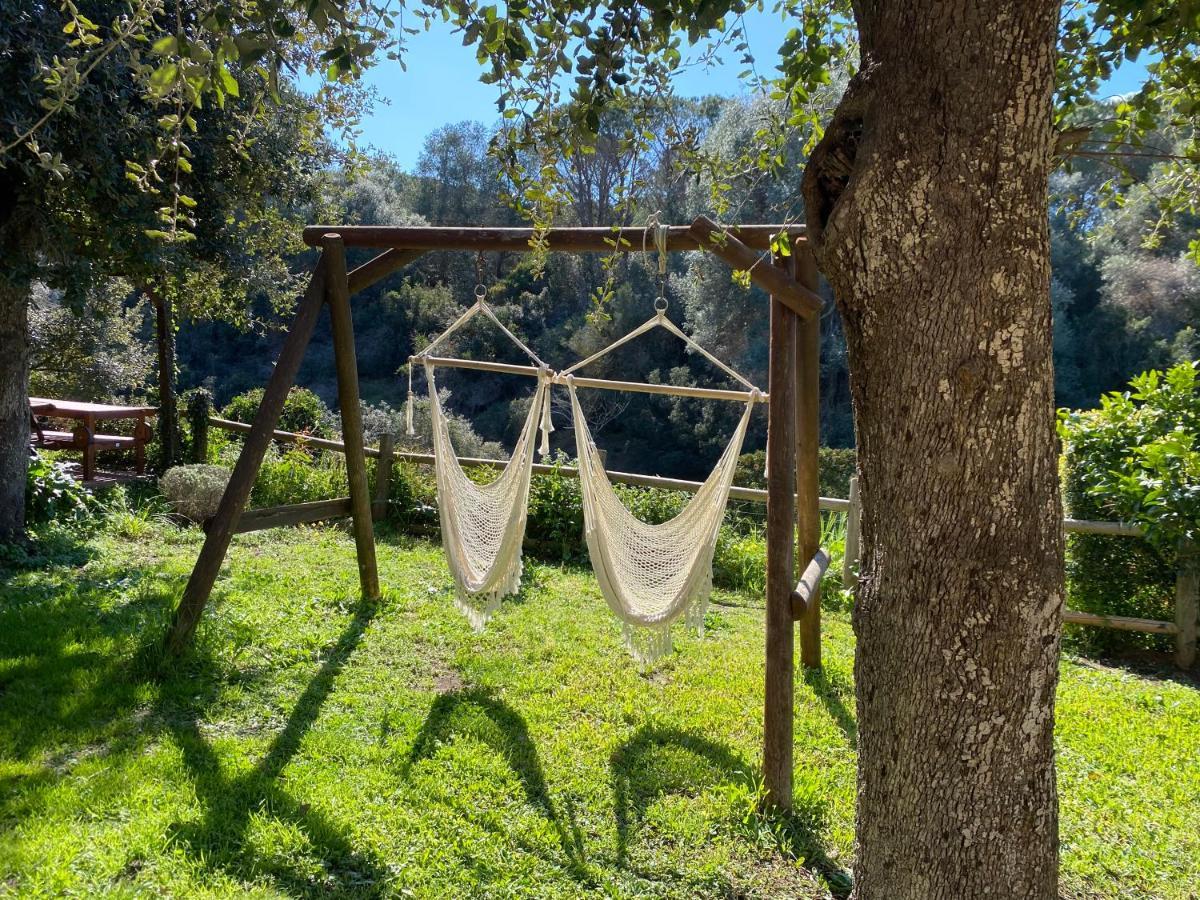 Villa Paradisino Orbetello Exteriér fotografie